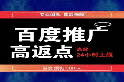 百度推广平台案例剖析：揭秘广告投放策略